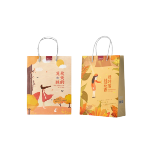 Colourful Holiday Paper Bags