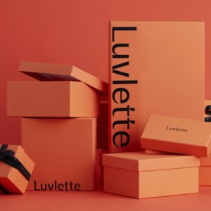 LAVIETE clothing packaging box