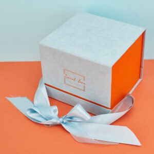 Colorful Companion Themed Packaging Box