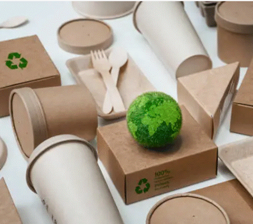 Read more about the article Eco-Friendly Boxes: Sustainable Solutions for Modern Packaging